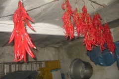 divino_0711