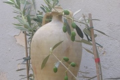 divino_072
